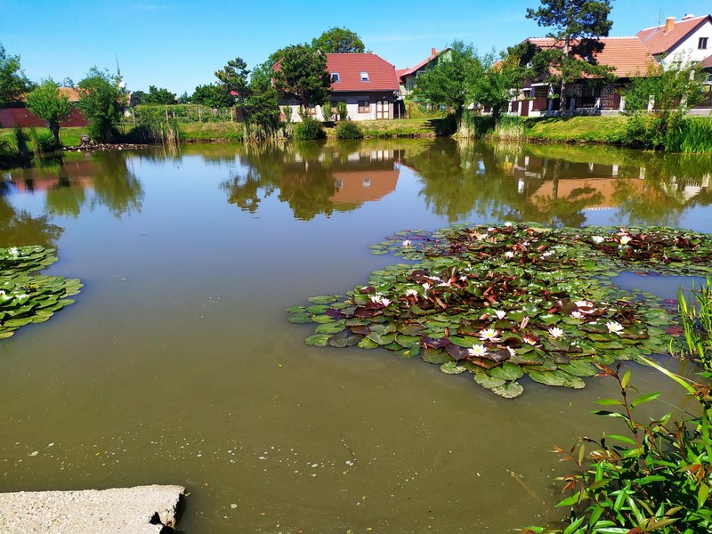 Výhled do krajiny